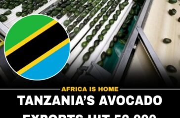 tanzania-ovaccado